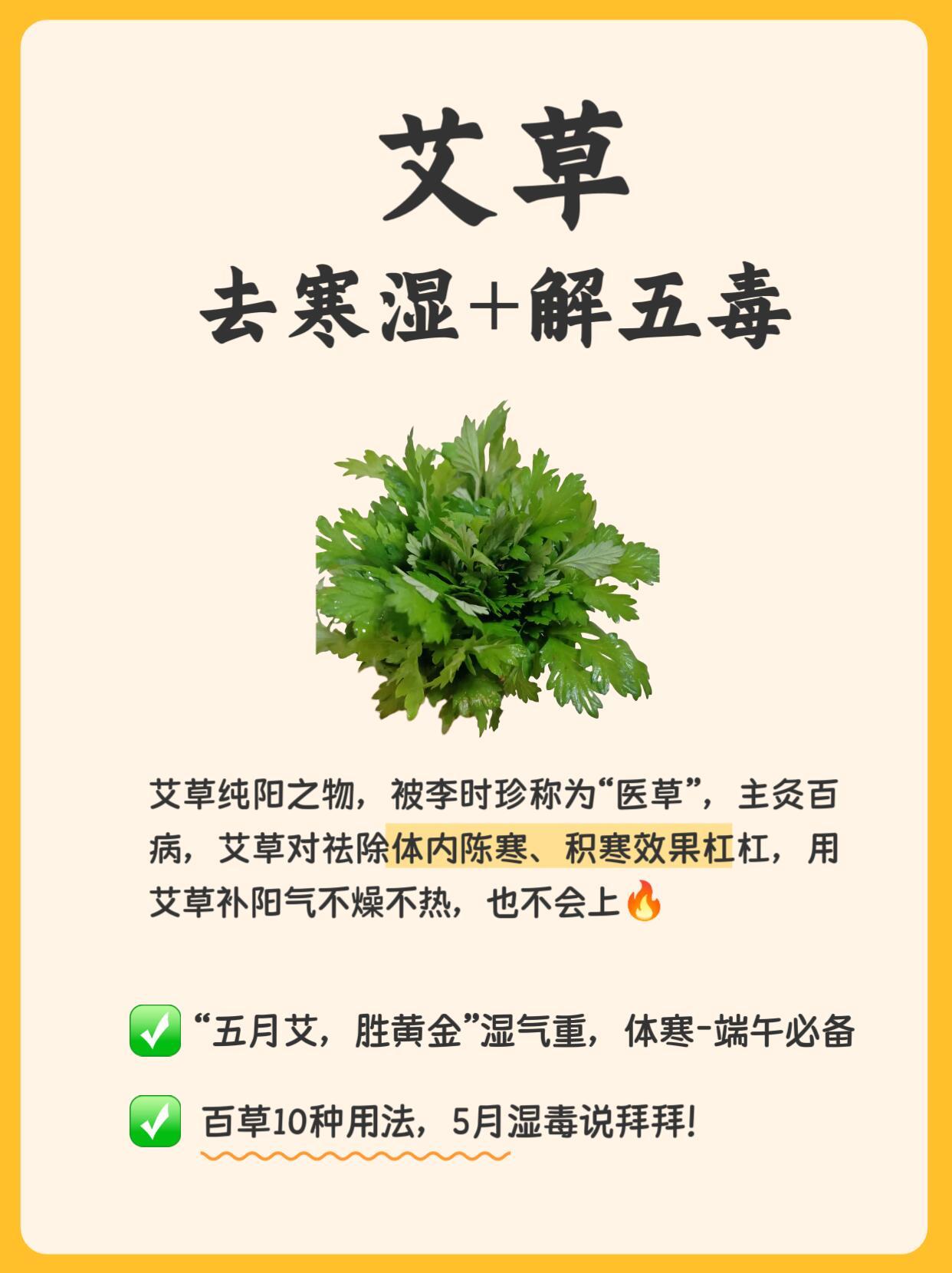 端午必备，艾草，驱寒湿，解五毒❗​​​