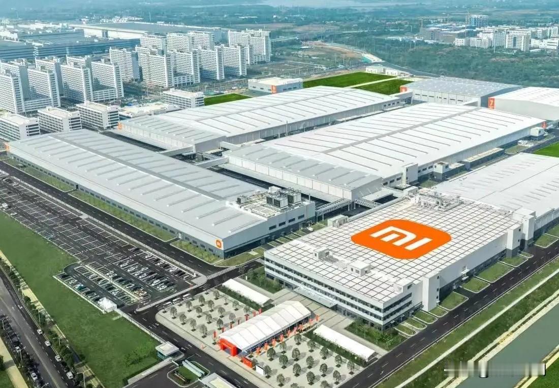 十二月的武汉太有氛围感了！朔风裹着年味儿吹过江汉关，江水拍岸的声音里都藏着生活