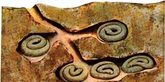 蛇冬眠的时候有多危险？一个专业捕蛇人坦言：90%的人根本想不到，一旦蛇进入冬眠，