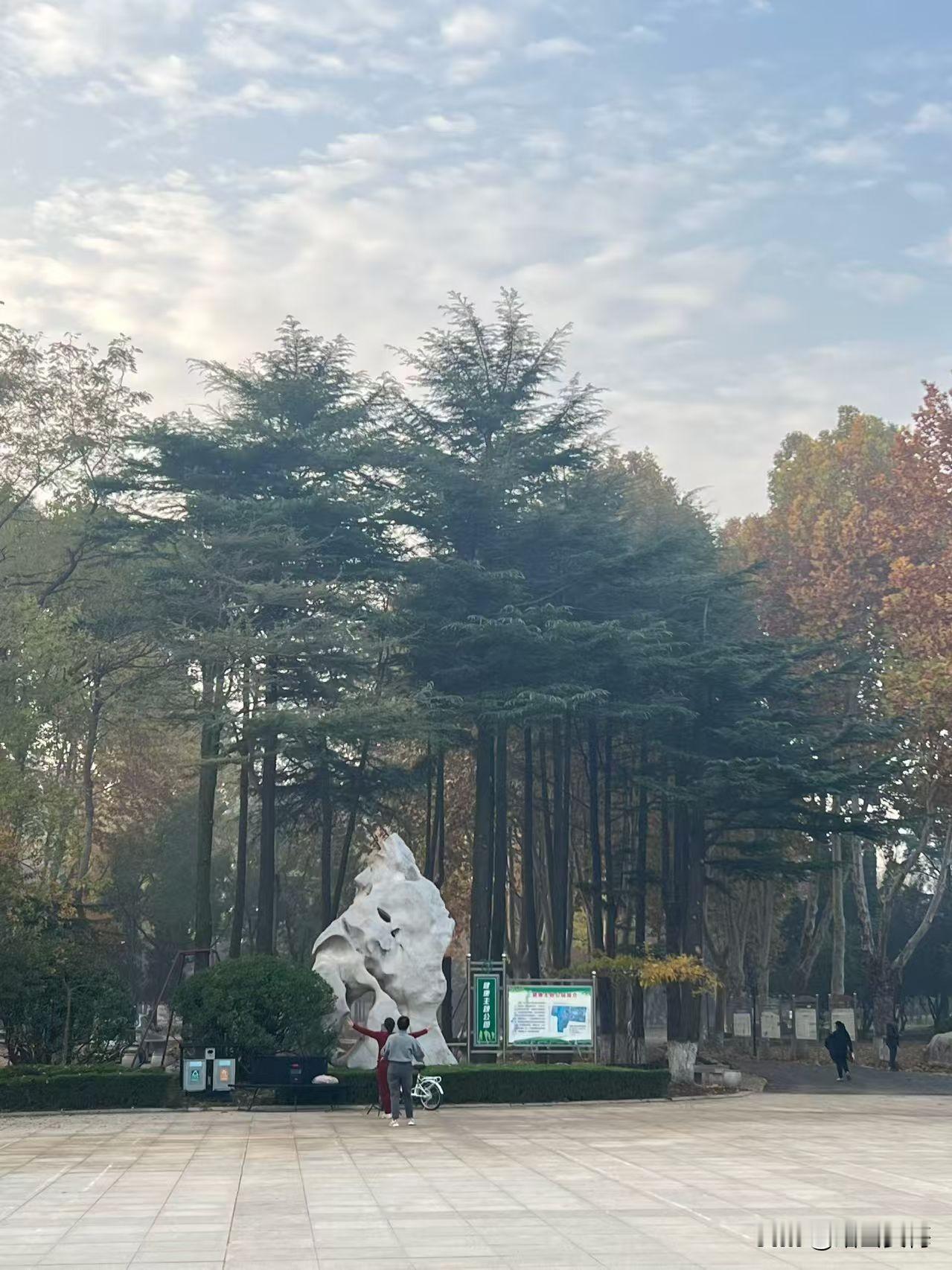 停飞12条航线这事儿一出，那一拨滞留在日本的“自由灵魂”怕是彻底傻眼了。当初