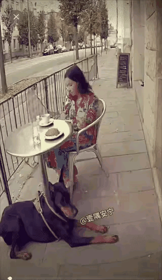 女子在路边悠闲喝咖啡,桌下趴着的狗狗突然跳起来,这一下不仅吓了主人一大跳,