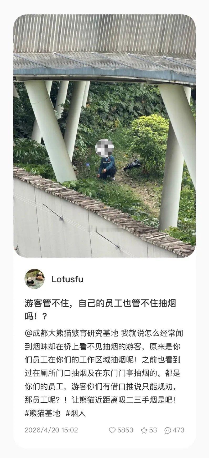 周围都是可燃带，bro迟早纵个大的