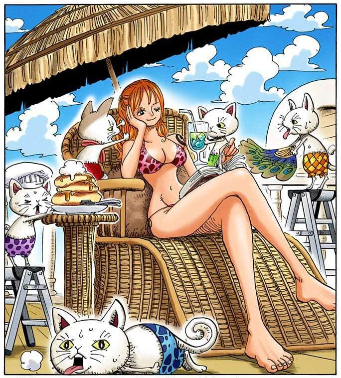 小贼猫与猫海贼王​​​