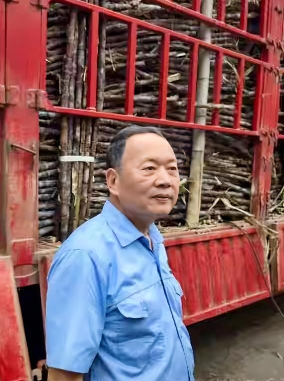 “甘蔗运来我们都要！”广东化州一糖厂主动收购蔗农滞销果蔗，几百辆货车排队两三公里