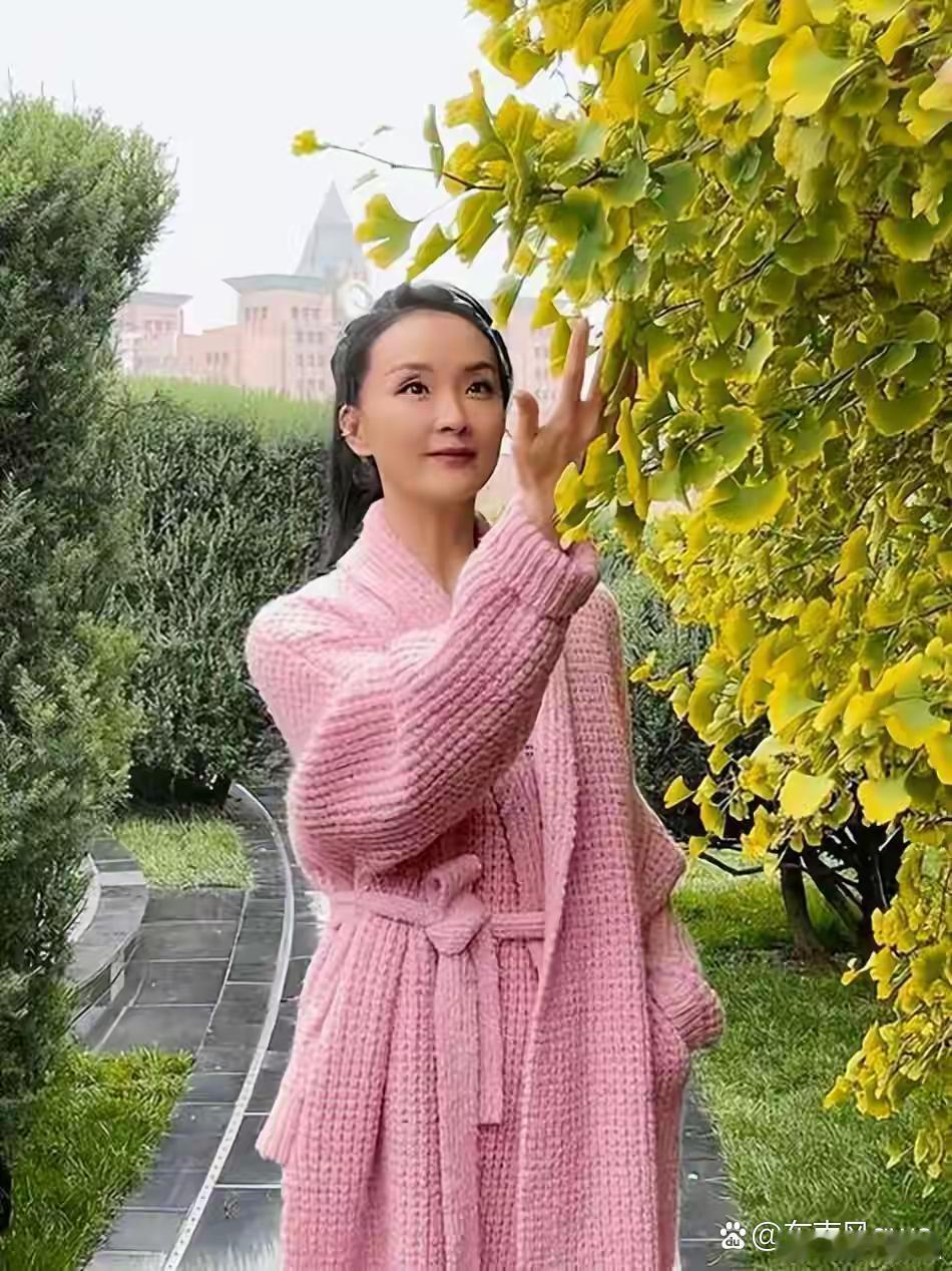 王艳家境太惊人，穿睡衣逛自家花园，身后就是紫禁城，奢华感拉满