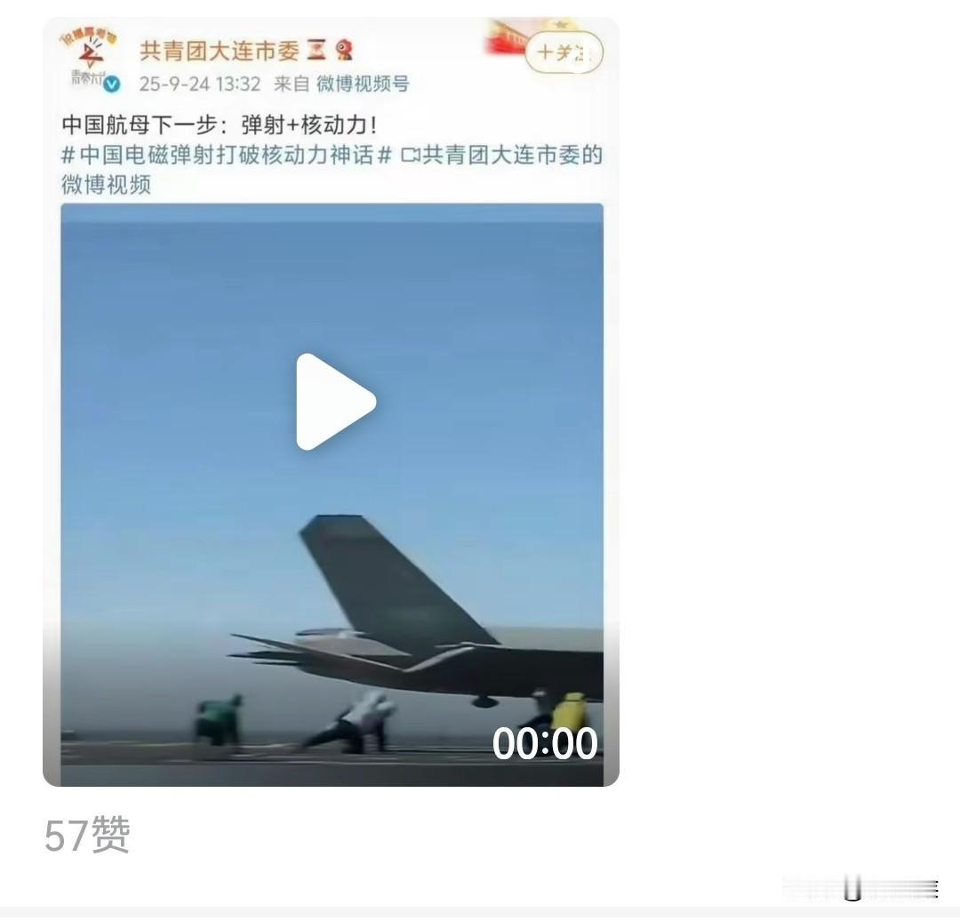 我们大连市共青团团市委让我带个话，你们都不用猜了。不要用国外的卫星影像冒充看到