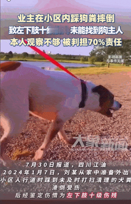 “真走狗屎运了！”2024年四川江油，一男子早上出门散步，谁料却一坨狗屎被绊倒了