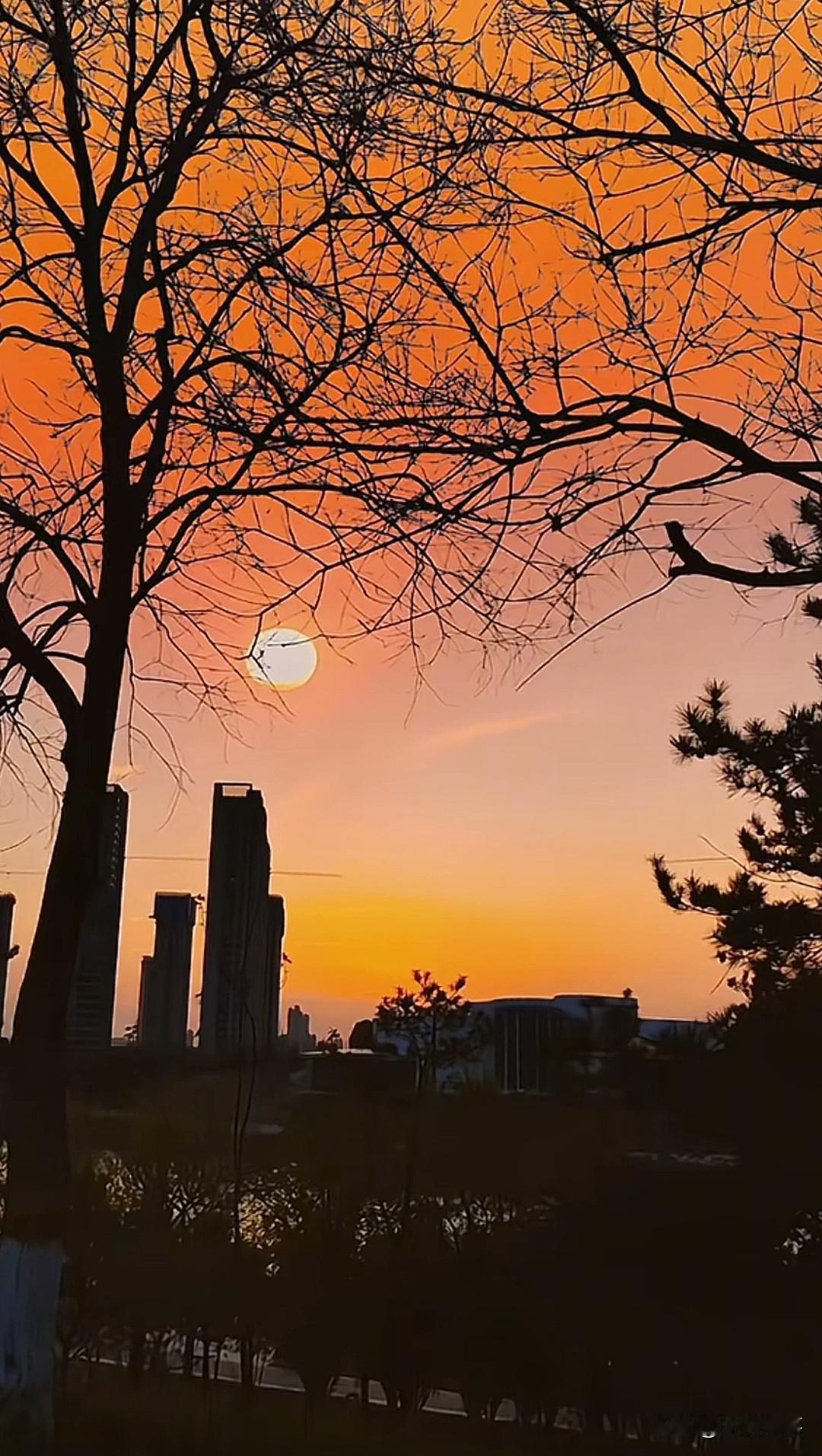 女人的脸，真不能胖……都说，微胖的女人好看。其实，身上胖点没关系，脸上如果