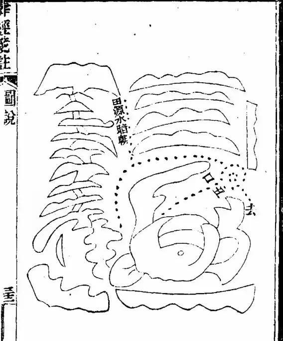 孝敬父母系列——第一百七十招：“年月财印若相绝，父母定是半路缘”八字中看父母
