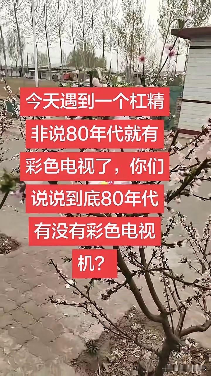 据我所知，80年代只有黑白电视机。