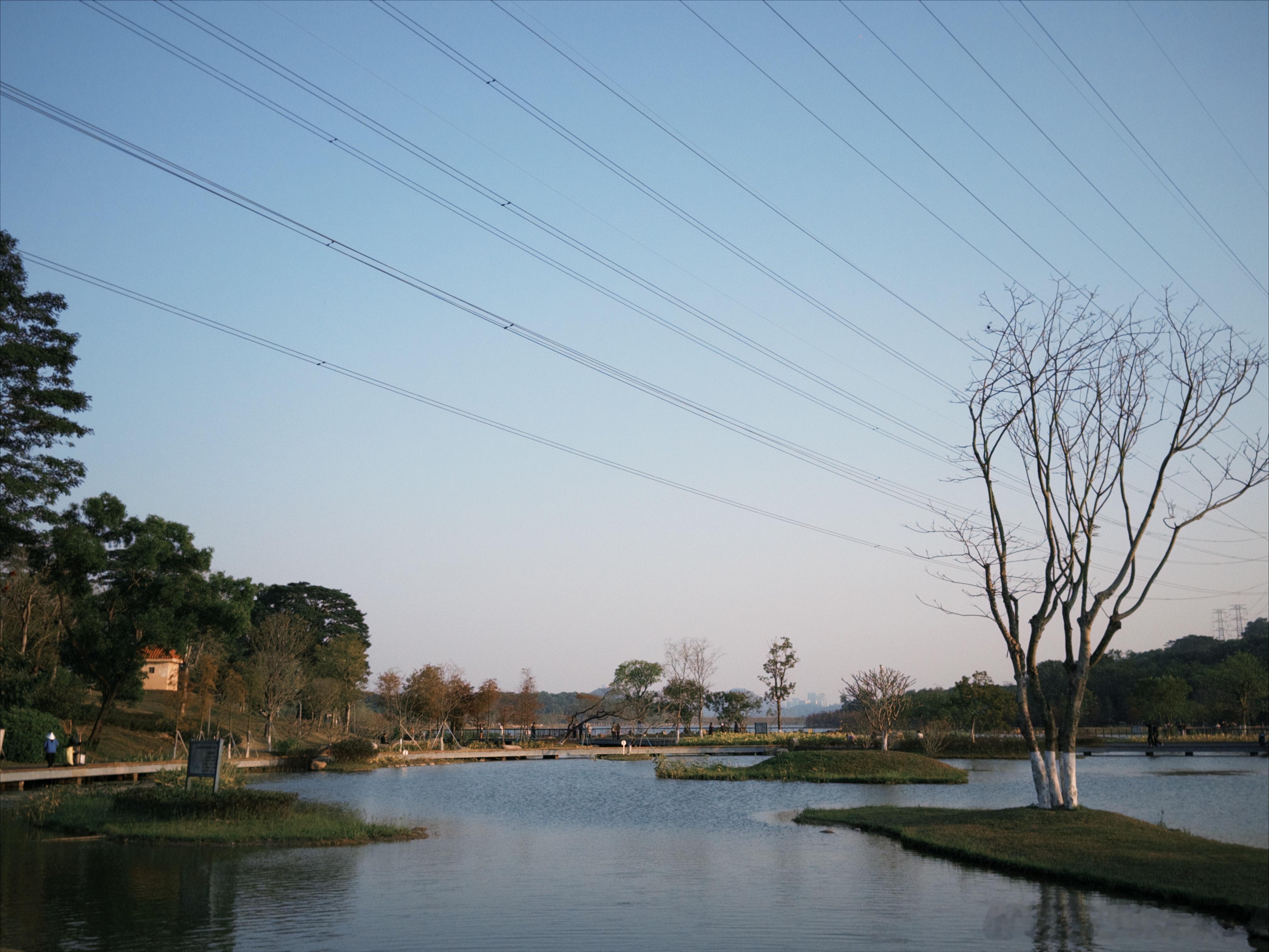 第一次来九围湿地公园刚好在日落时分非常舒适除了停车麻烦环境是真的漂亮这几年全