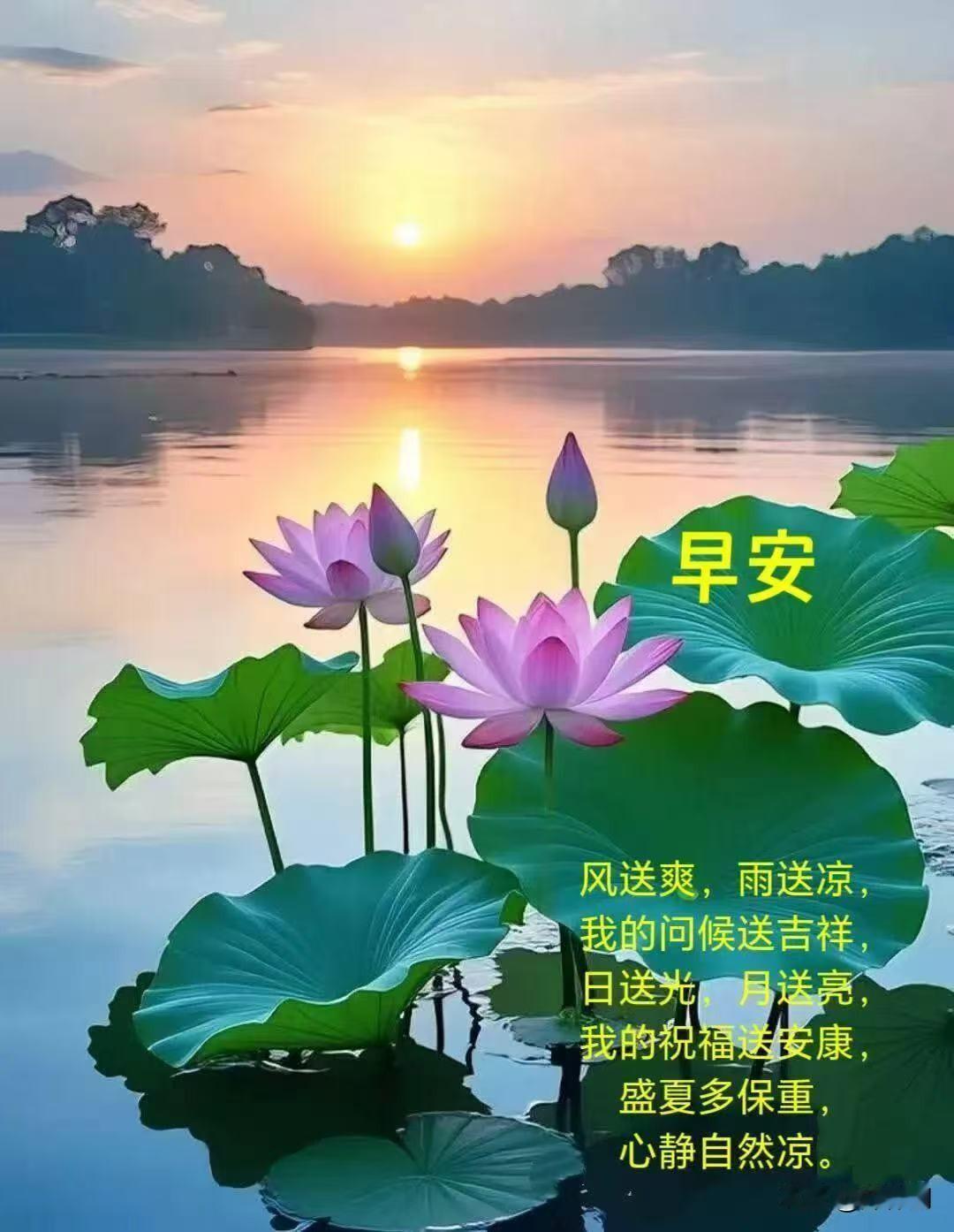 [比心]早安心语[比心]晓破郊原曙色开，风熏麦浪逐人来。檐前鹊语催新步，篱