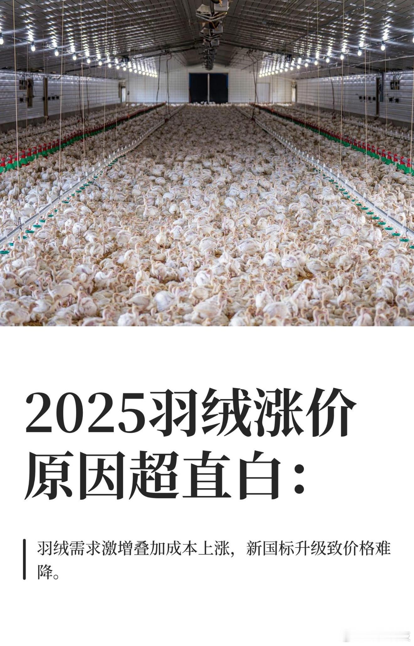 原来如此，涨价原因很简单：猪肉降价导致禽肉需求减少，养殖户减少鸭鹅养殖，羽绒原料