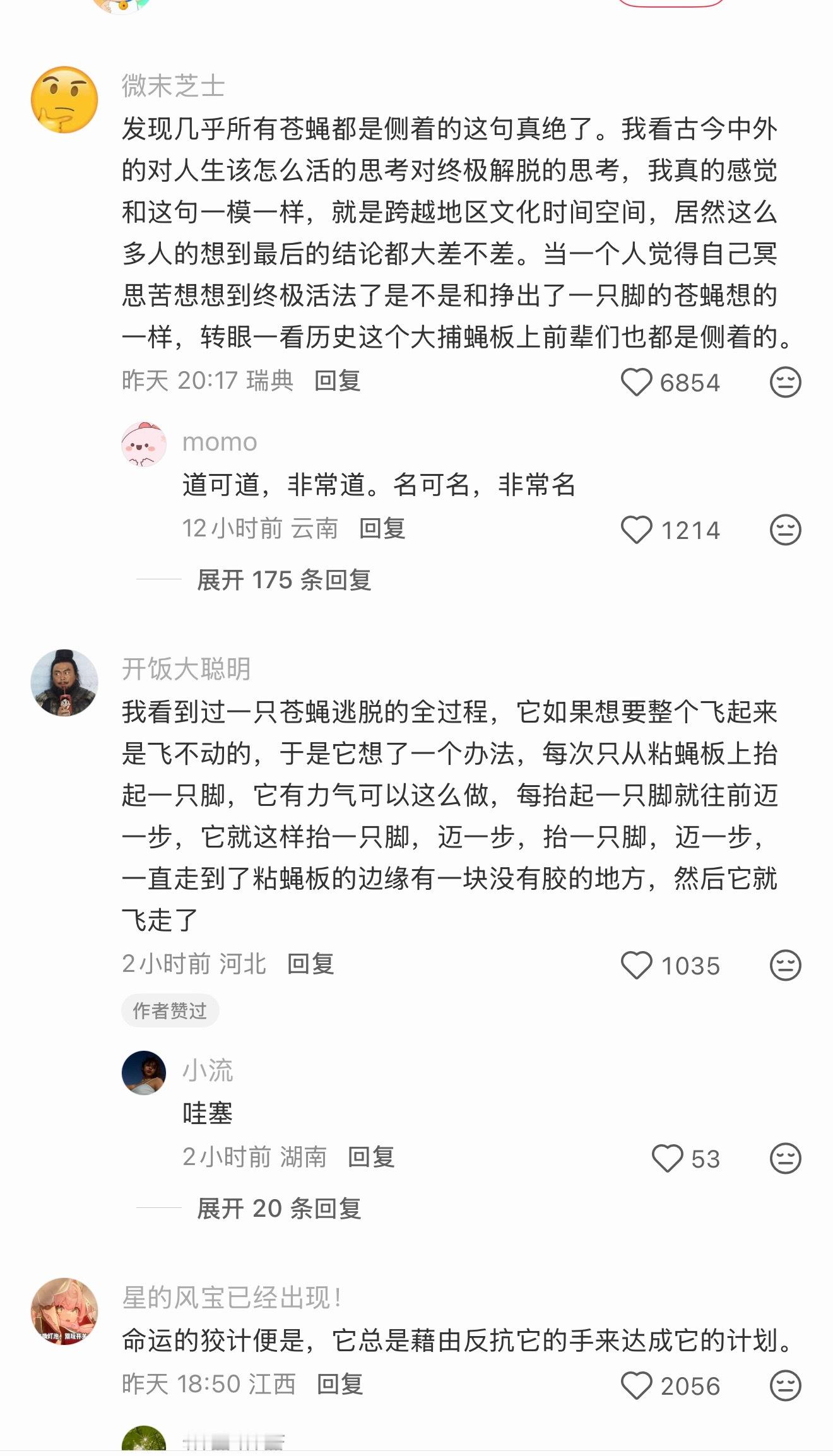 好哲学啊，几乎所有苍蝇都是侧着的​​​