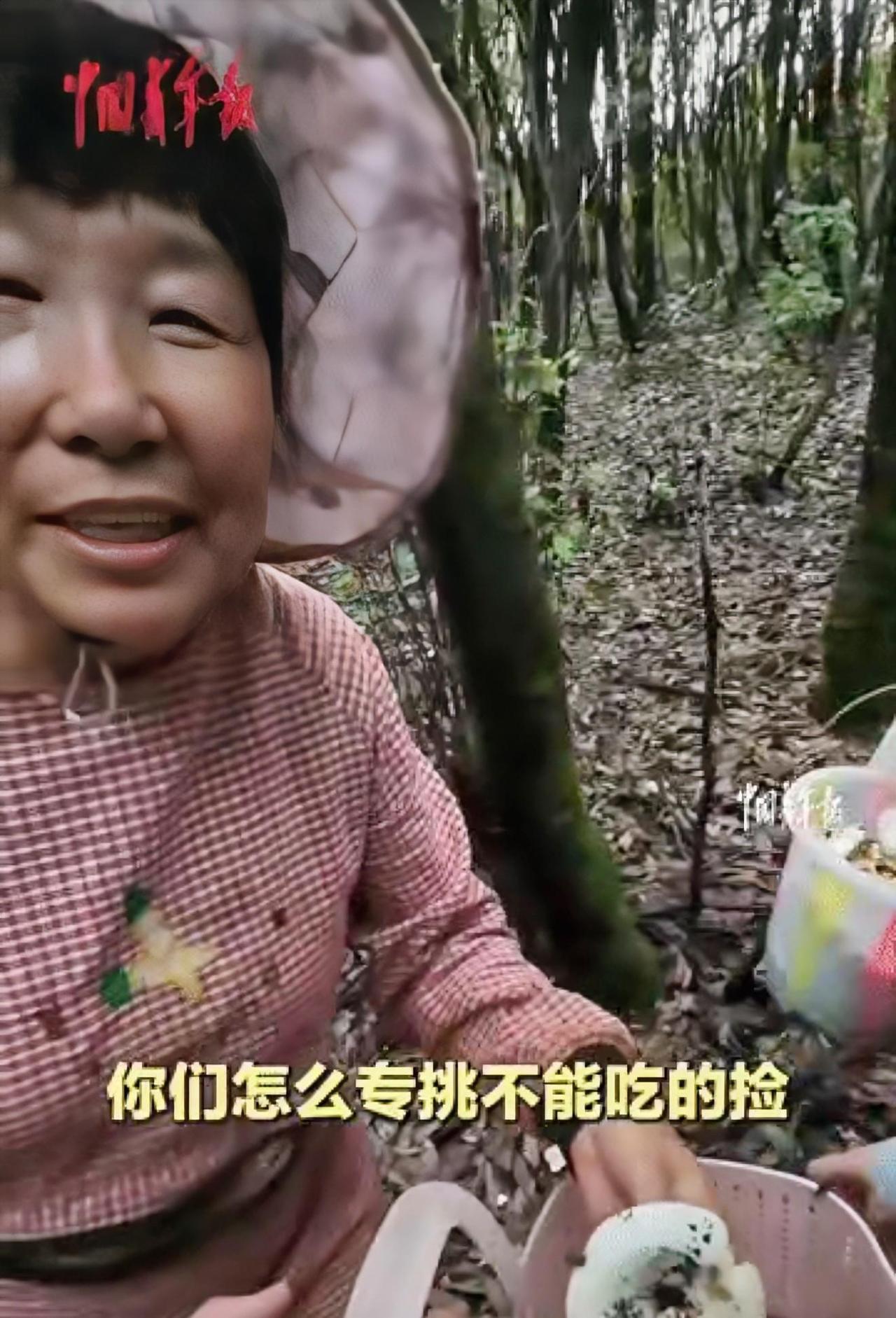 “笑不活了！”云南，两名游客上山捡菌子，偶遇一位当地阿姨，就让阿姨帮忙挑毒菌，不