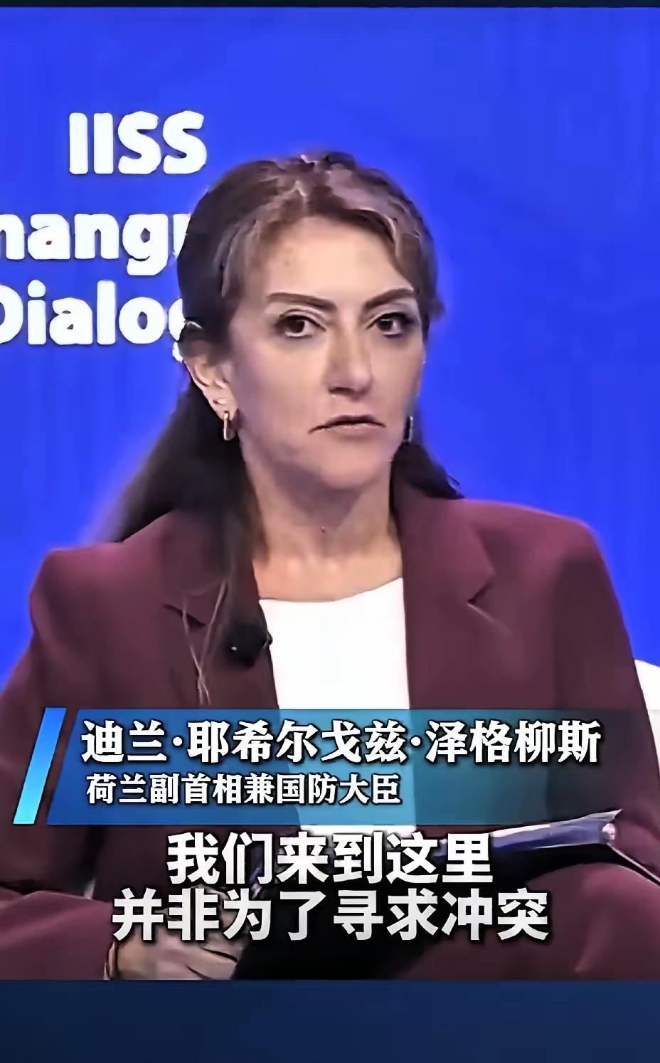 国家防务面前不需要讲情面！荷兰副首相兼国防大臣没想到中方会问得这么直接：荷兰派舰