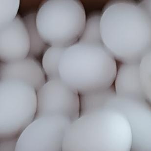 常吃鹅蛋，身体还真能有不少改善。首先是增强免疫力，鹅蛋富含蛋白质、维生素和矿物质