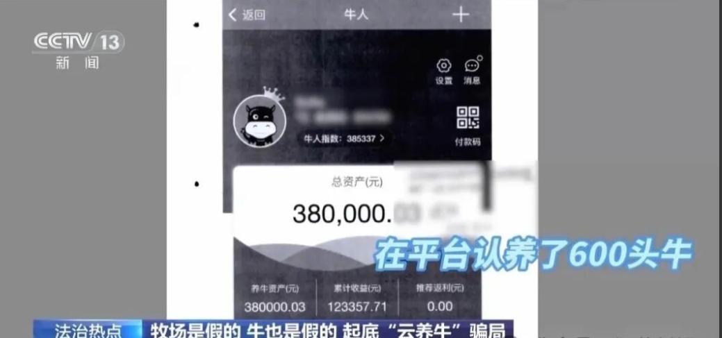 太贪了！10月13日报道，上海一男子，投300万在网上认养了600头澳洲肉牛，说