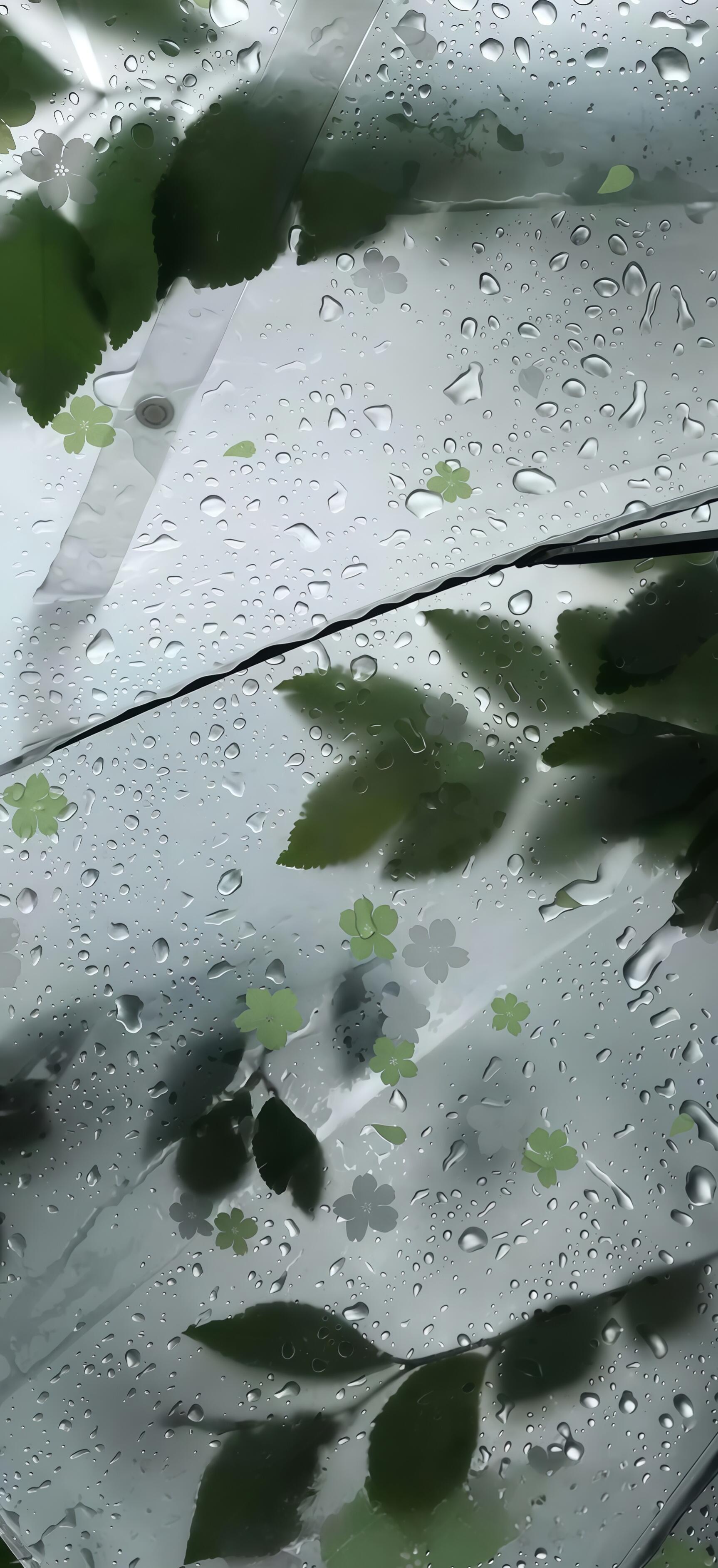 壁纸分享｜雨滴壁纸｜韩系壁纸｜小众