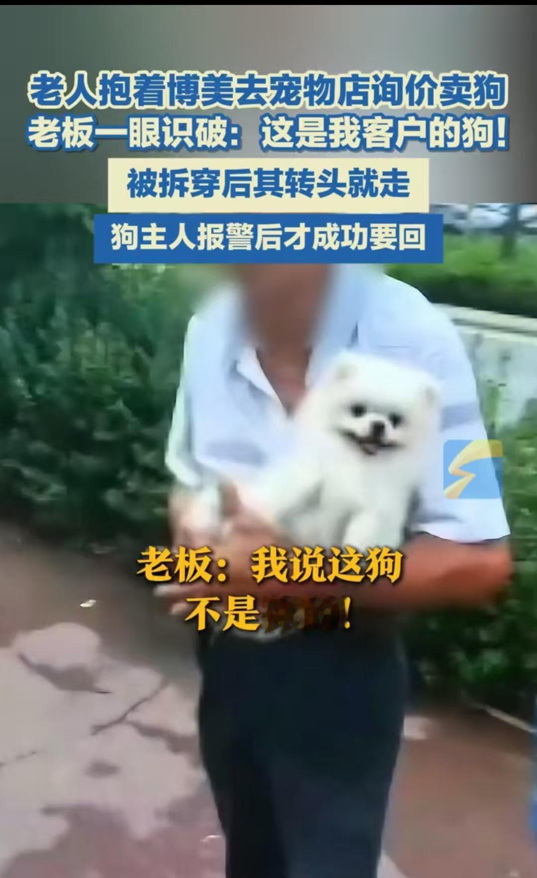 太神奇了吧！江苏南京，大爷抱着一只博美，去问宠物医院多少钱？他们收不收？老板一看