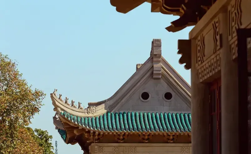 每年高考出分季，网上满是填报志愿的攻略技巧。大多数家庭守在电脑前，对照分数排名、专业热度敲定志愿。山