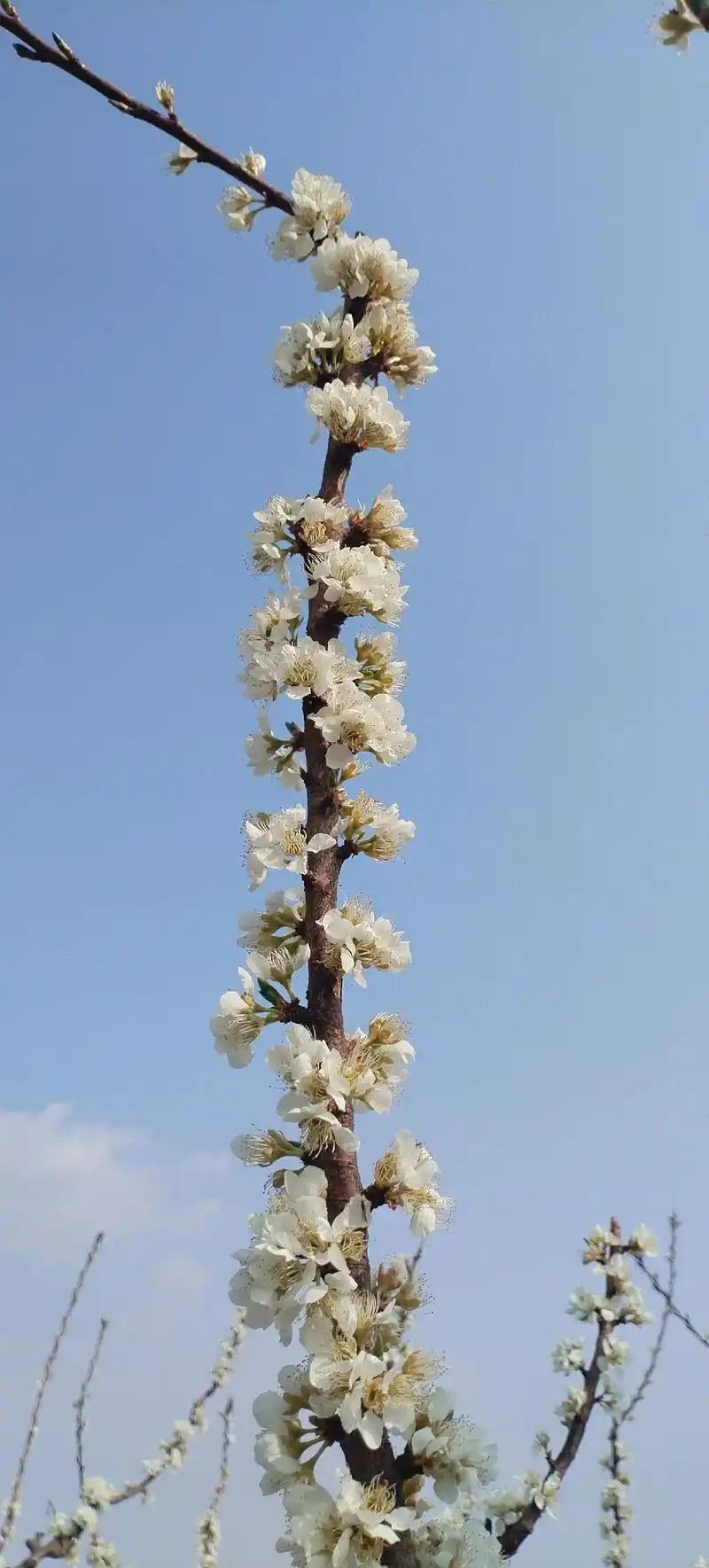 太恐怖了！世上竟然有这样的亲戚。为了钱财真是无所不干了！一个9岁失去母亲
