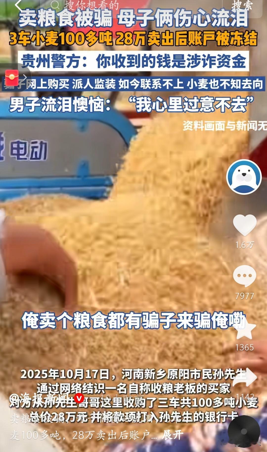 卖100吨小麦换28万，结果粮没了、钱冻了，卖粮的大哥稀里糊涂成了洗钱的“帮凶”