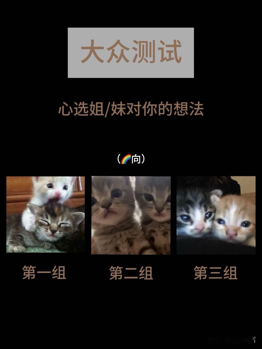 心选姐/妹对你的想法