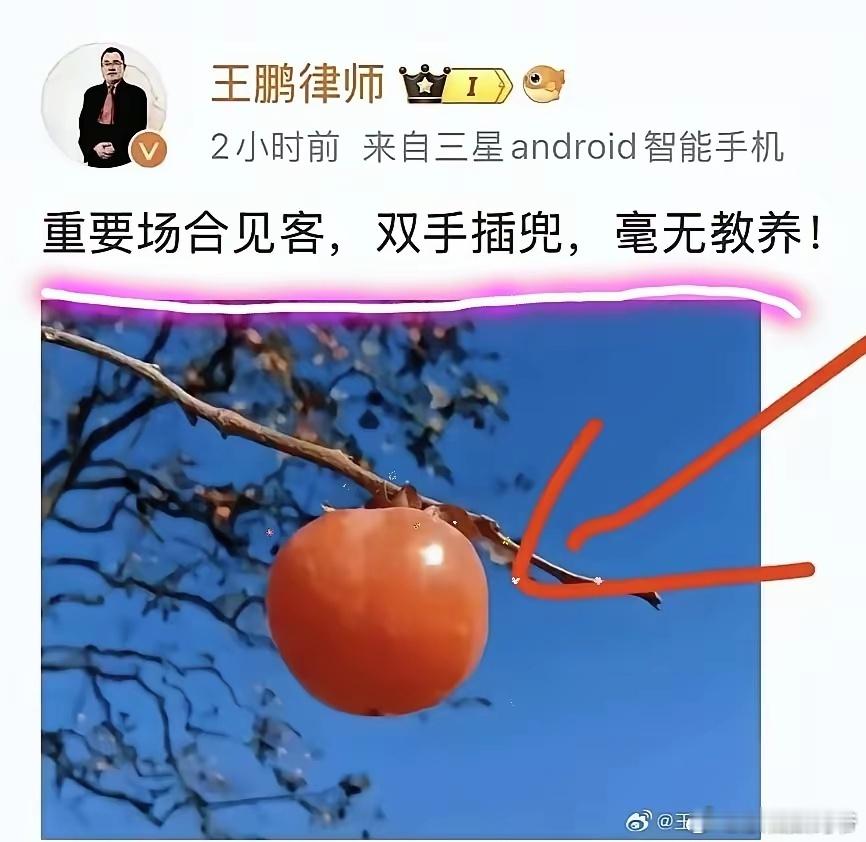 这个律师这个言论，请问您怎么看？