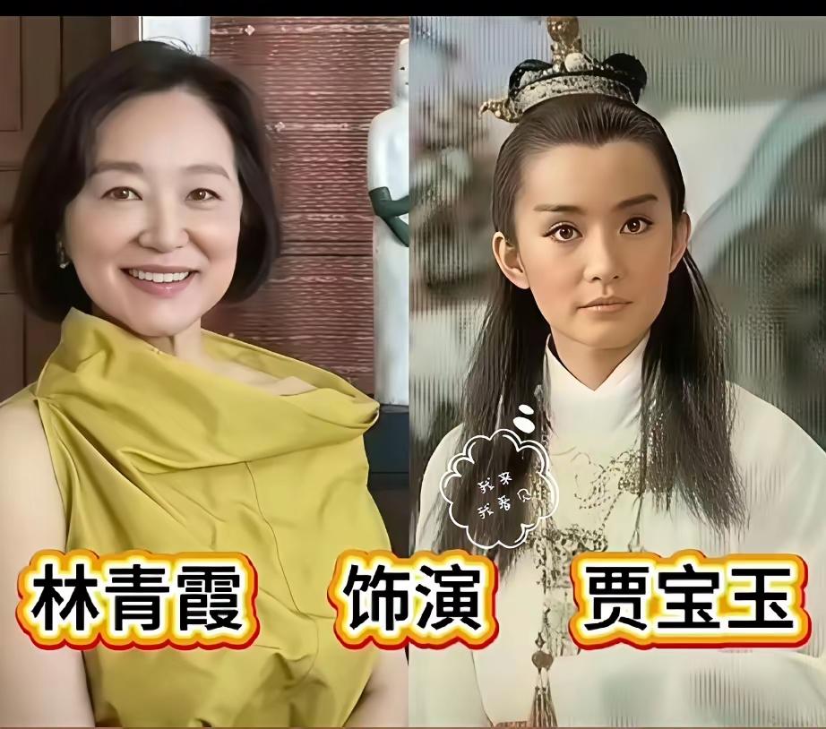 谁是最佳贾宝玉？