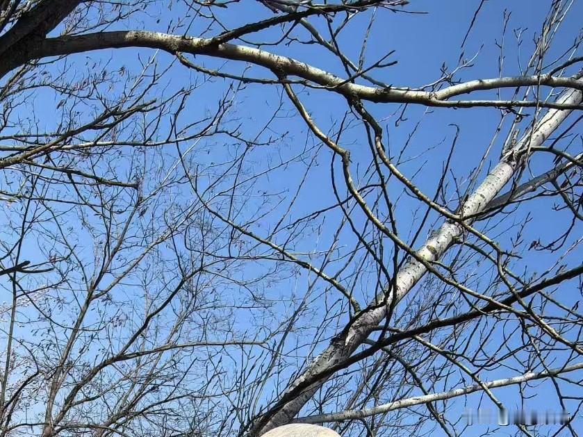 婆婆们，必须接受的一个事实，人最怕的是对别人的期待。你对儿媳妇的期待越高，失望