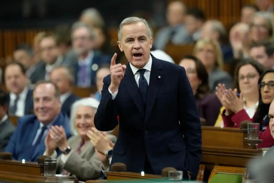 起风了！加拿大对华改口，禁止与中国签协定，65万吨芸苔子白买？卡尼访华的热度还没