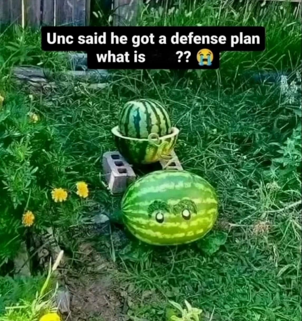 性价比极高的防御工事meme