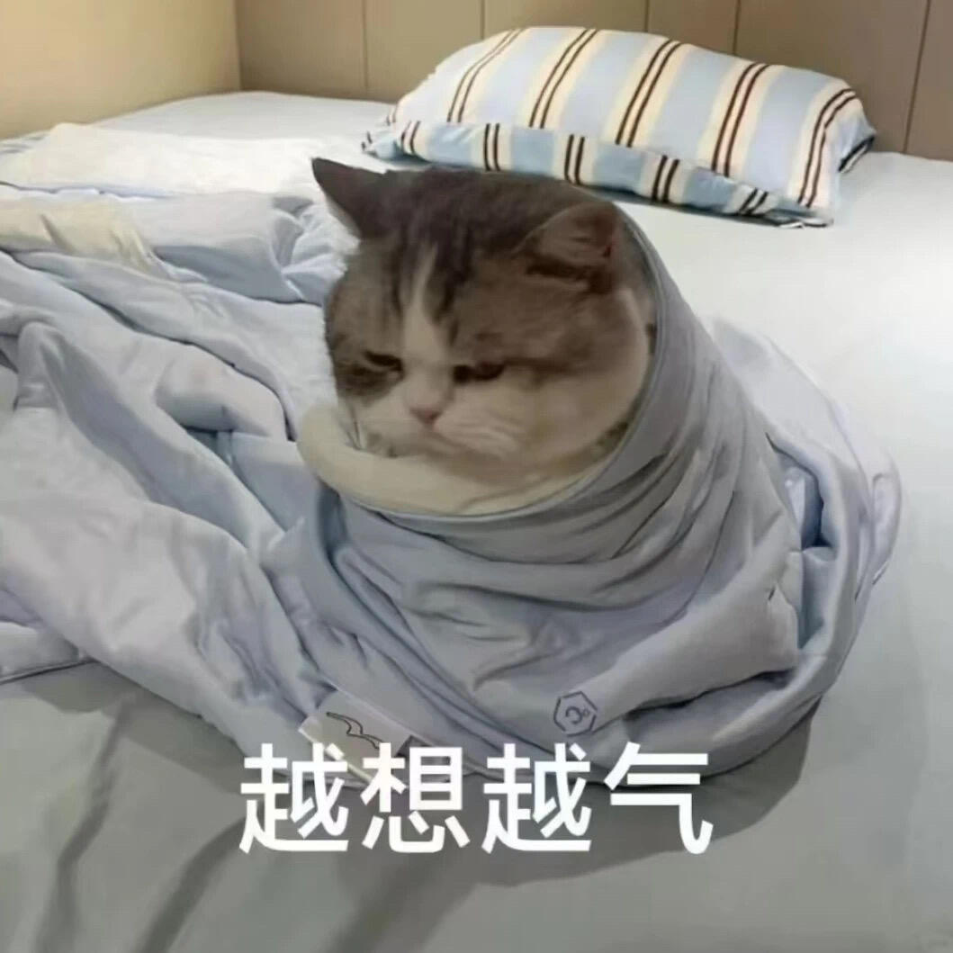 小猫表情包分享​​​
