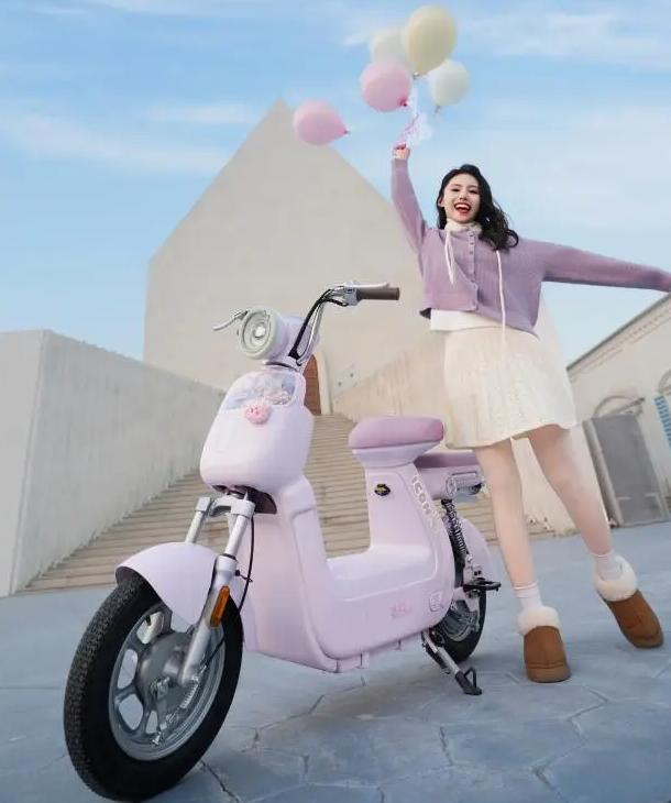 为什么推荐台铃、绿源、新日、小刀、金箭电动车呢？他们都有这5个共同特点：无品