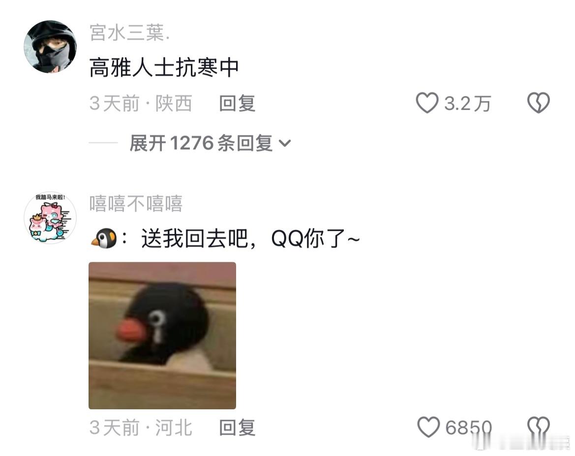 《企鹅来东北也得烧炕》哈哈哈哈哈哈哈哈！！！