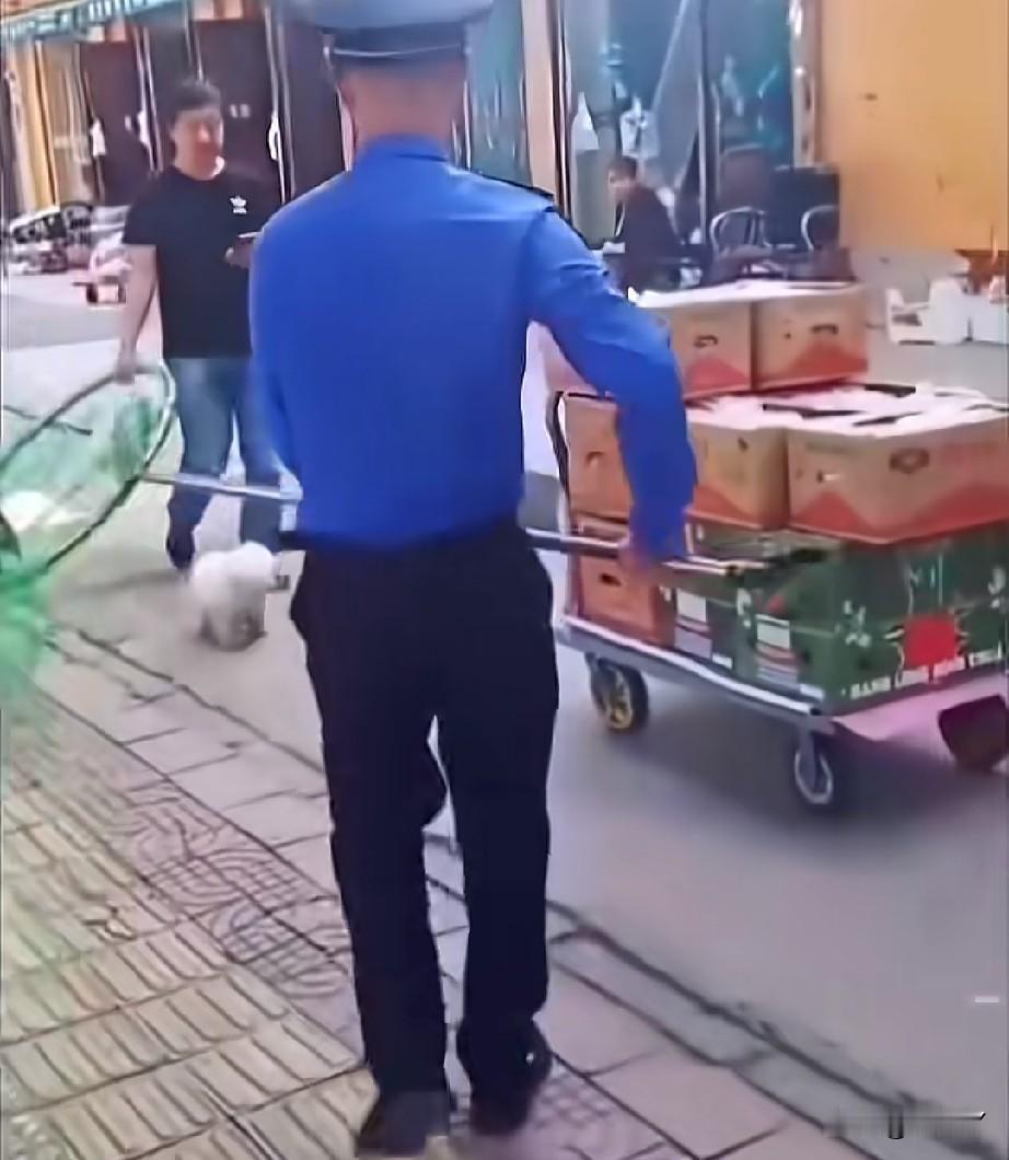 看看人家广西的城市综合执法人员多么认真负责啊！对于街道、小区里的不牵绳狗、无主狗