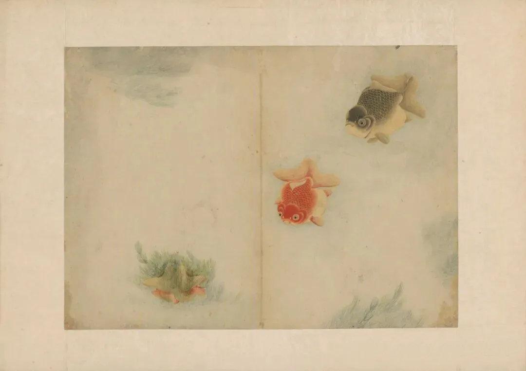 李文运用没骨技法，巧以色彩晕染。画中金鱼身形圆润，或独自畅游，或结伴而行，通过色