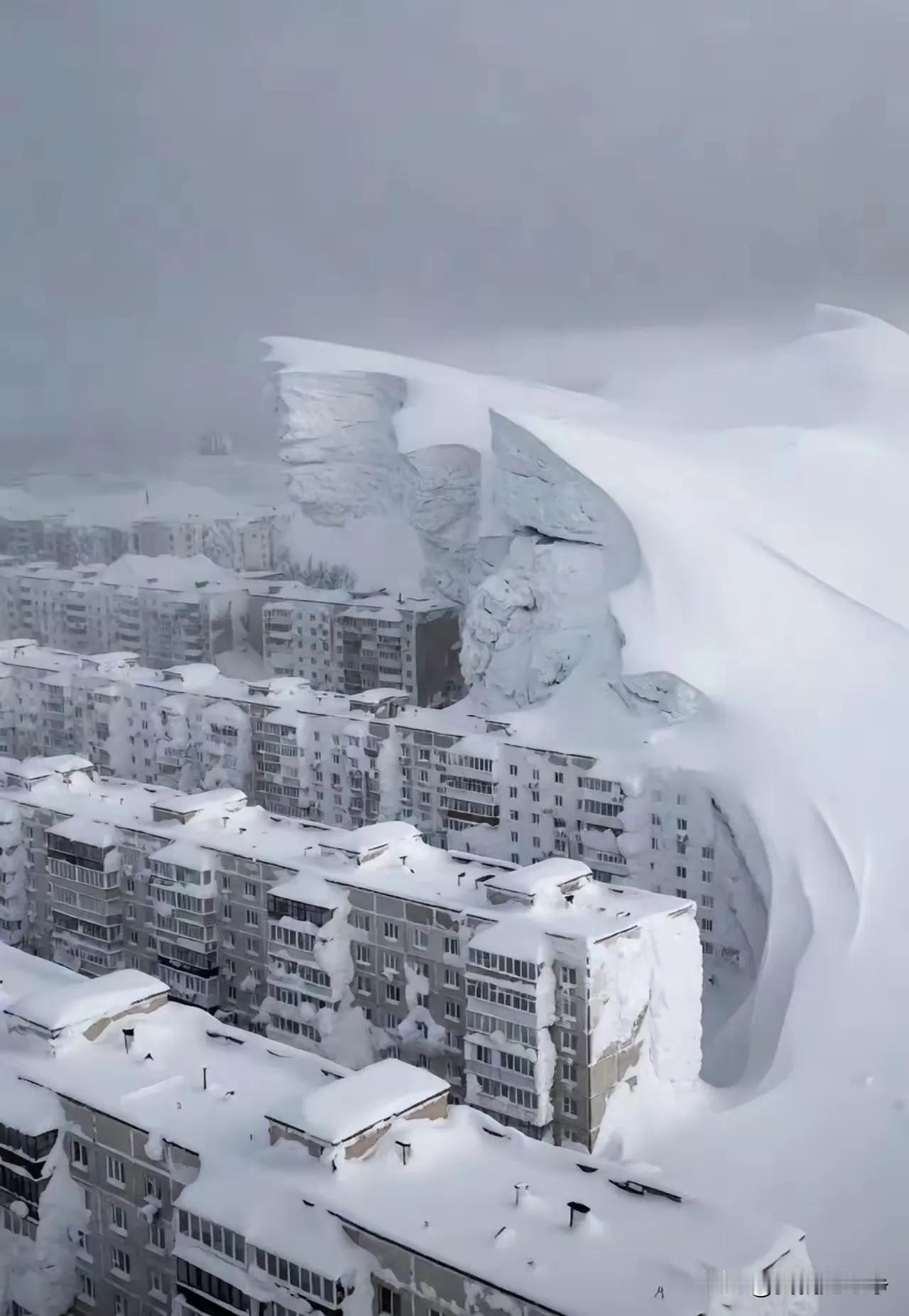 希望这几张照片不是ai合成的，如果是真的，那么俄罗斯人icon不开发远东，还真的