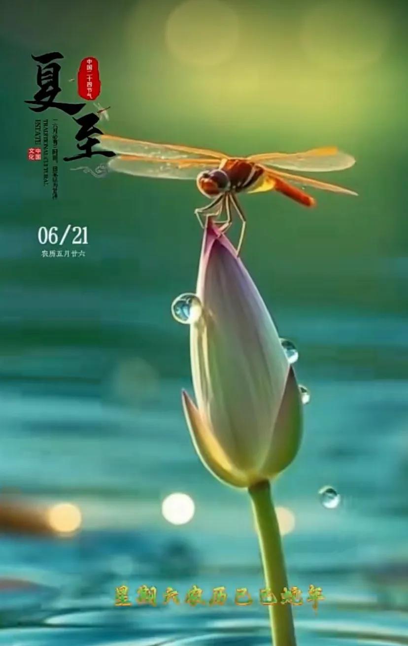 「夏至节气的清凉指南」#清叶夏至#夏至快乐！