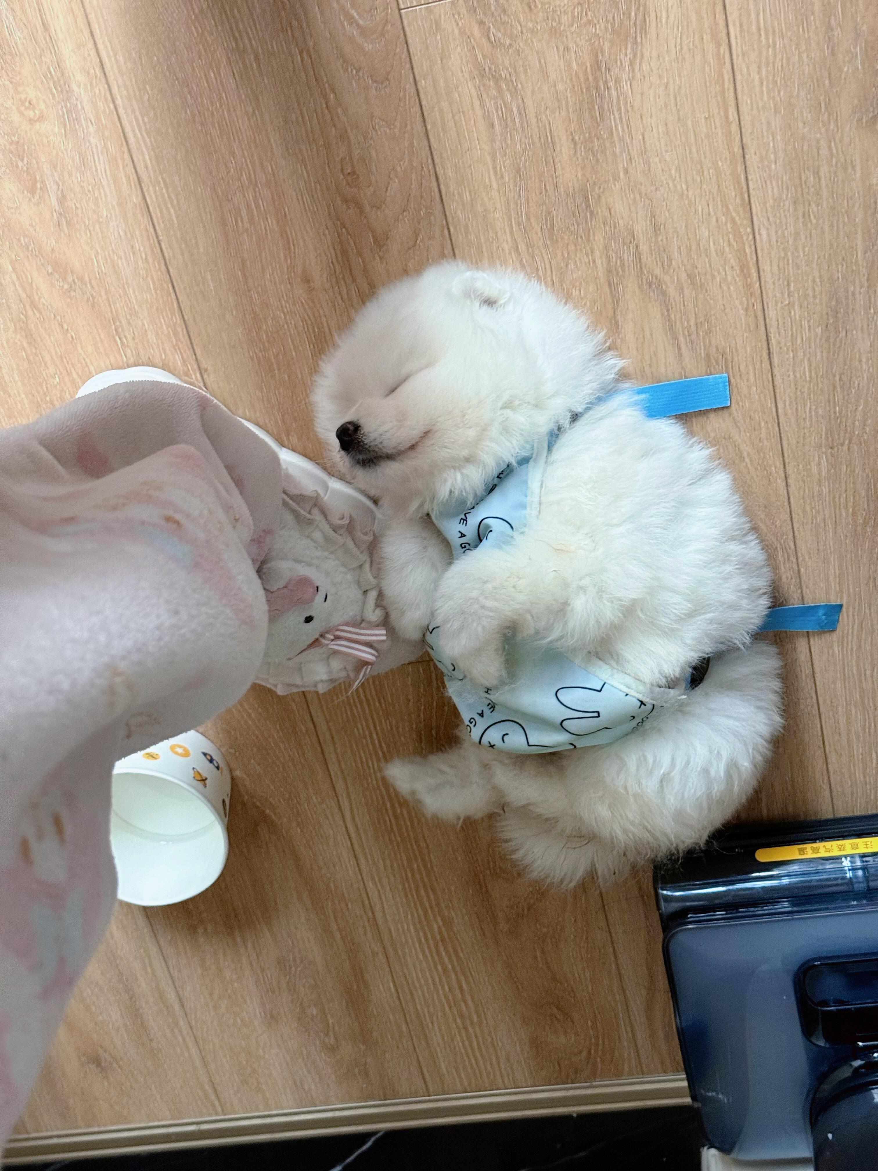 老板问我上班迟到的原因：