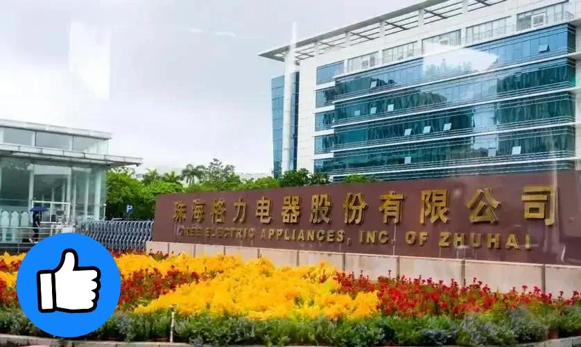 格力电器取消荷兰订单荷兰的限制，成就了中国的半导体自主产业链！10月底，荷兰