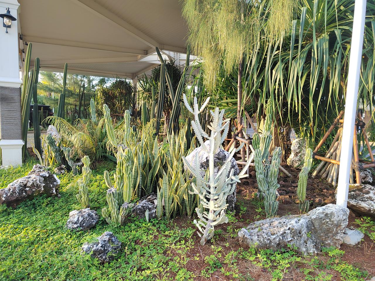 （1）工作中重复解决同样的问题不会更值钱。重复性的工作要去做，但必须控制比例小于