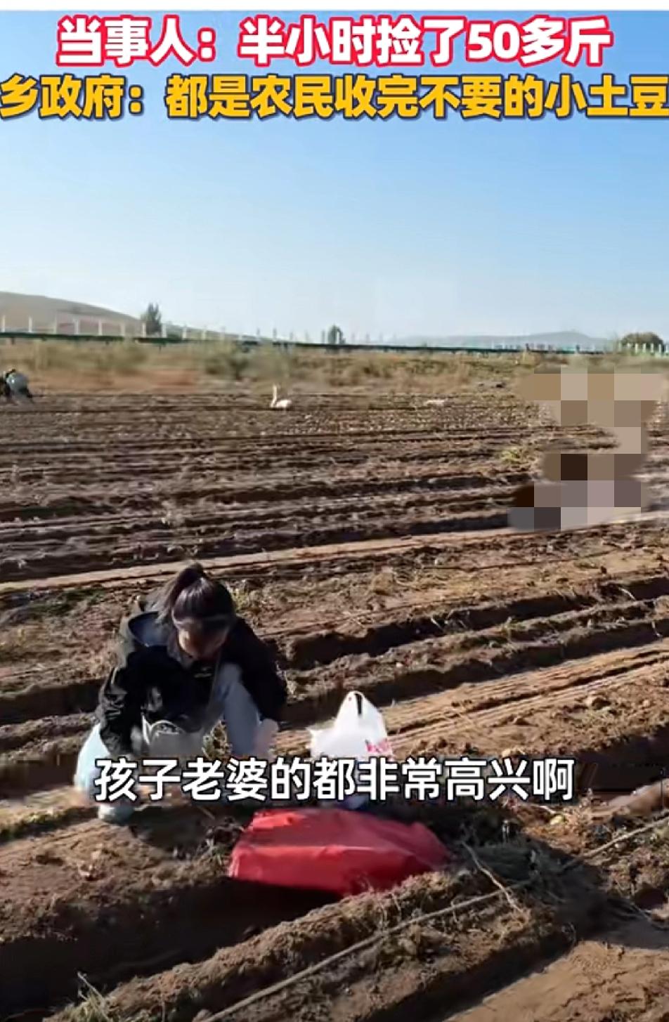 刷到这场景我笑不活了！内蒙古锡林郭勒一道路旁停了约50辆车游客纷纷下