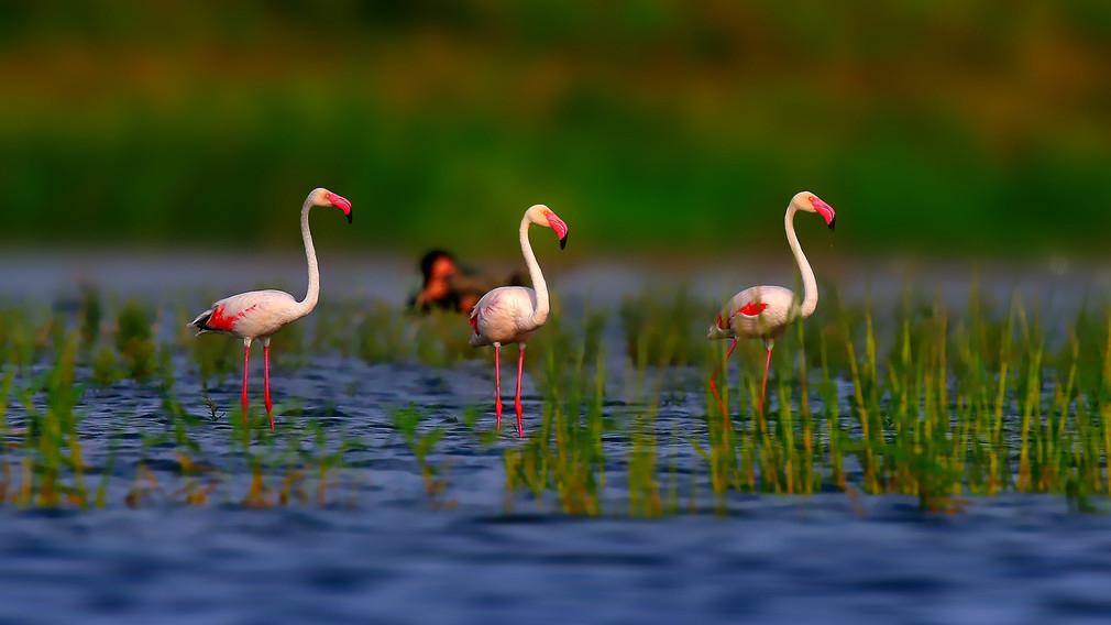 碰到一个求真中学的学生家长，跟我说回去跟孩子商量一下，因为孩子的作业比较多，也确