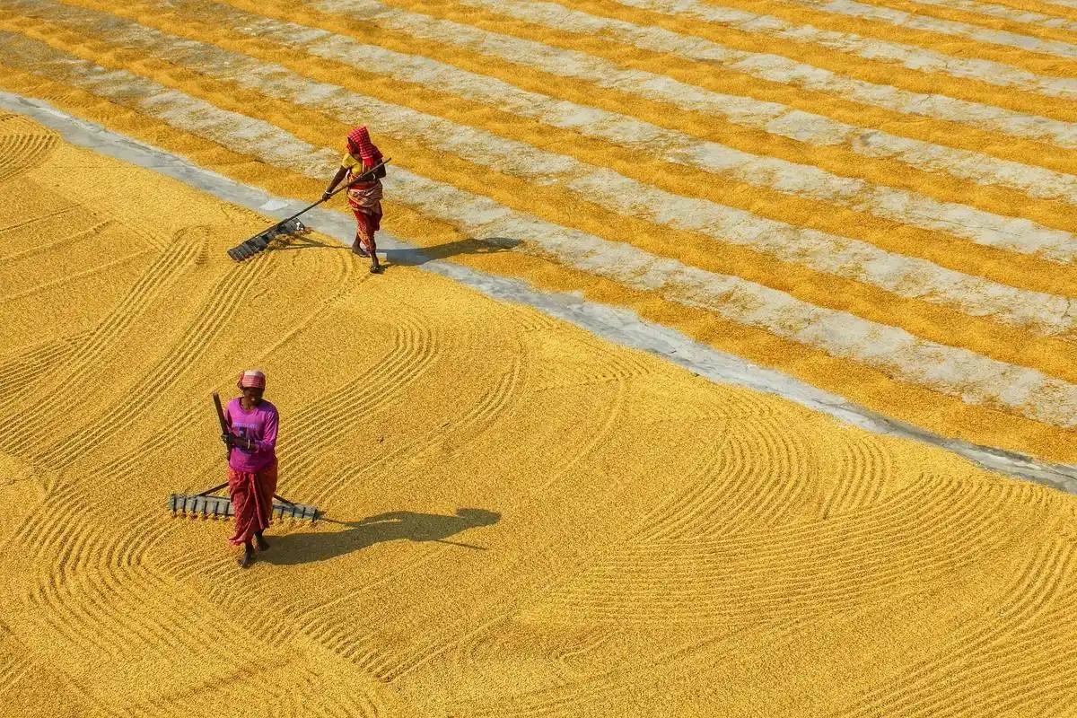 2026年开春，印度国内抗议浪潮此起彼伏，而最牵动人心的，莫过于向来沉默的农民