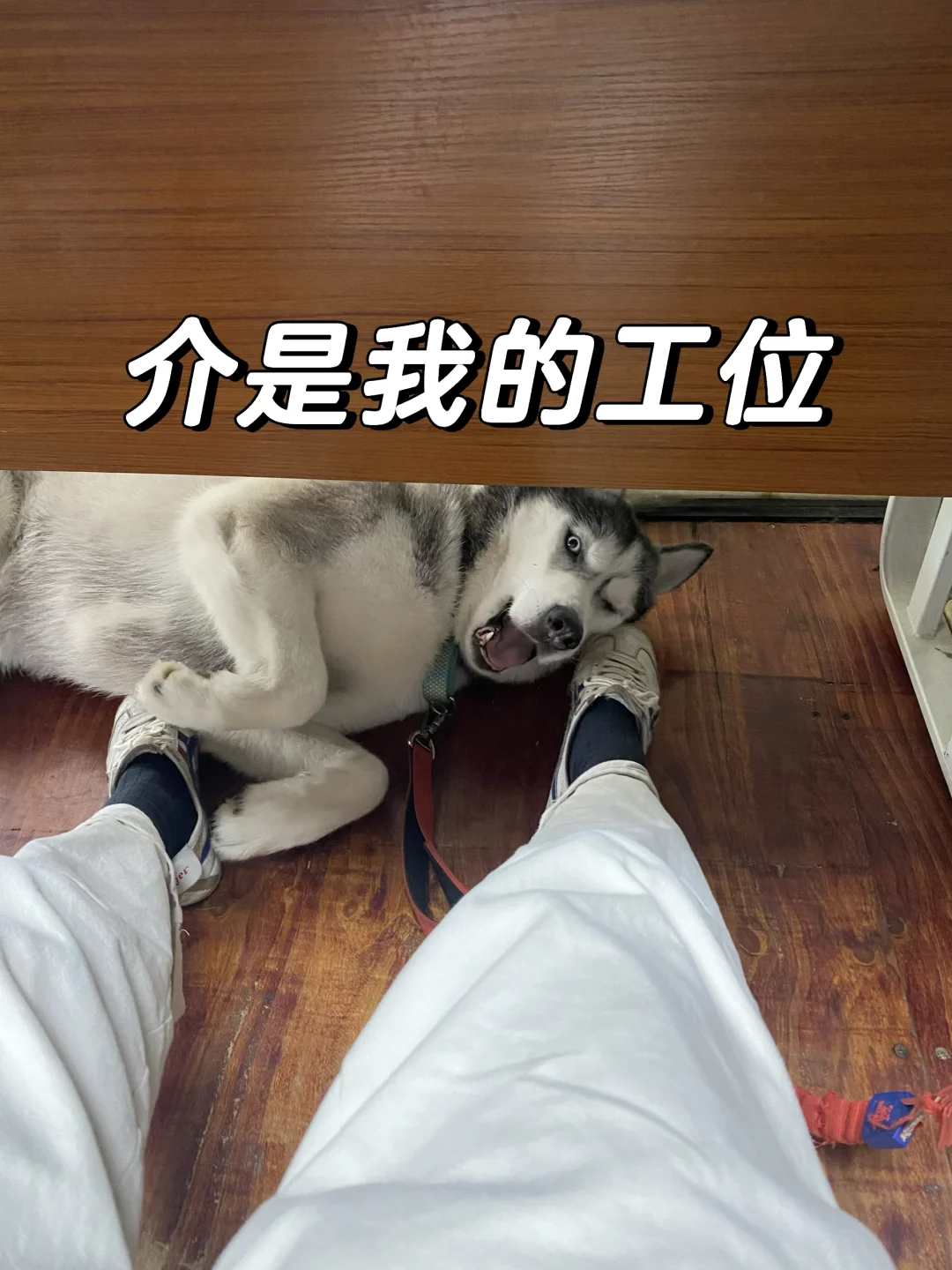 哎呀！今天又是摸🐟的一天