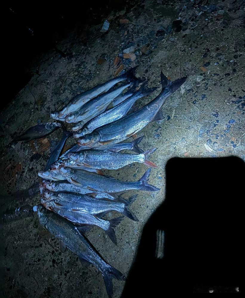 现实再一次证明了：免费，往往就是结仇的开始。小区有个小伙子喜欢钓鱼，一旦钓的