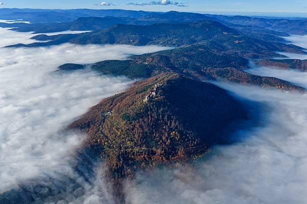 一位教育学者说：真正能让孩子自觉学习的办法，其实不是逼，是“让他看见差距”很