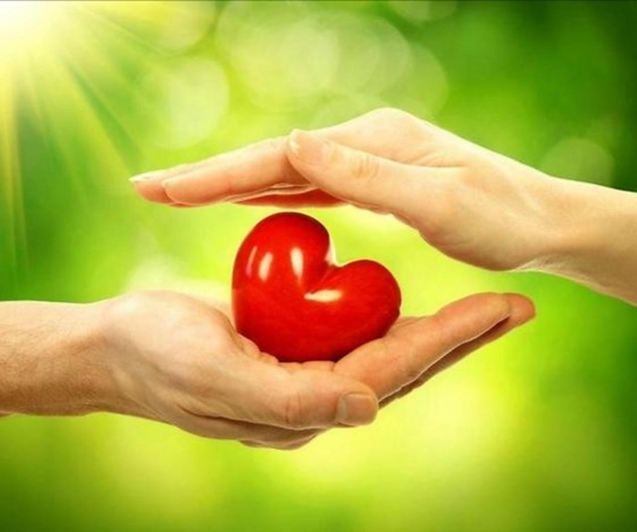 看到一段通透的话：“人和人最好的相处方式，是尽量不要相处。你会发现，你跟越多人相